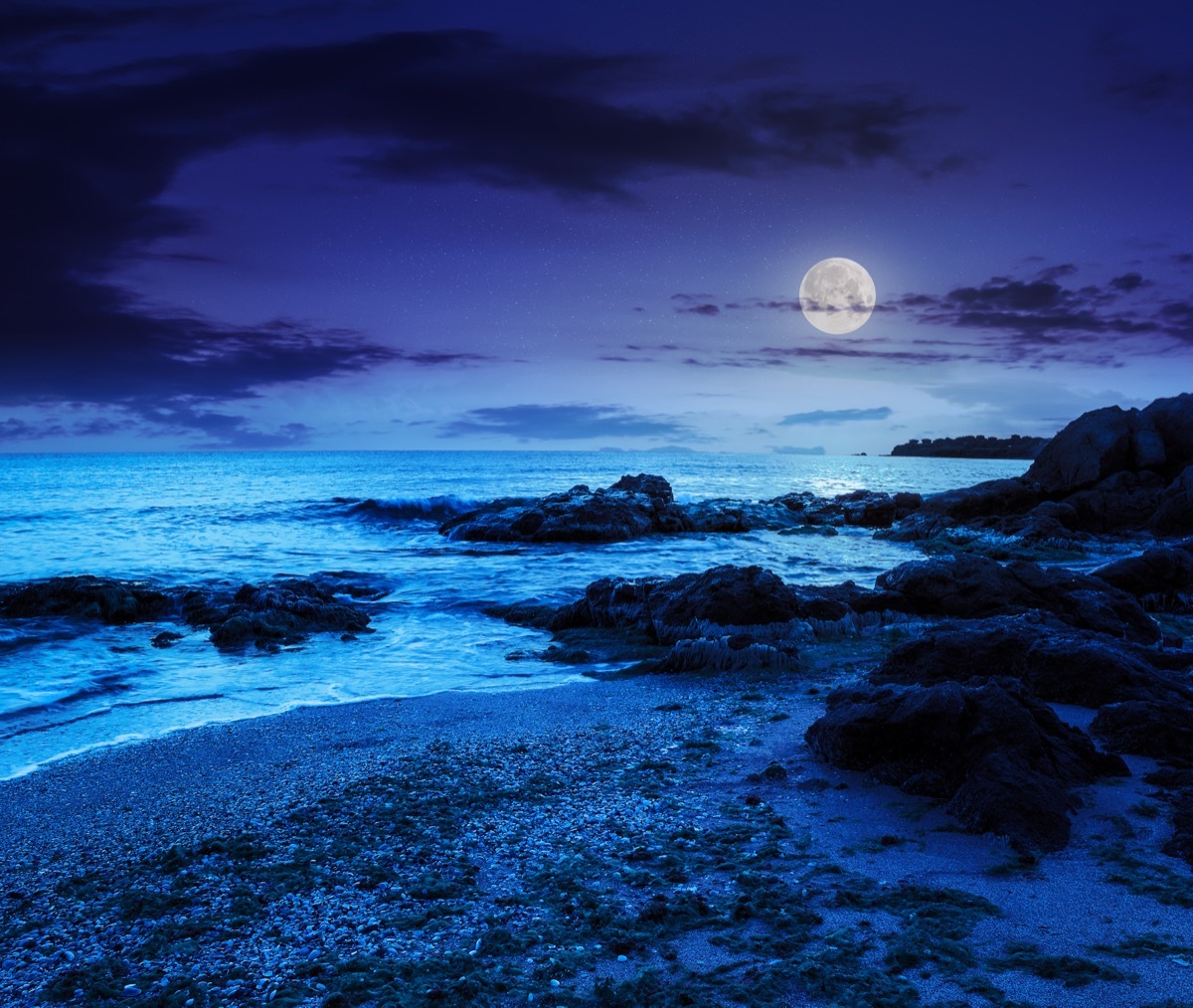 Beach shore at night