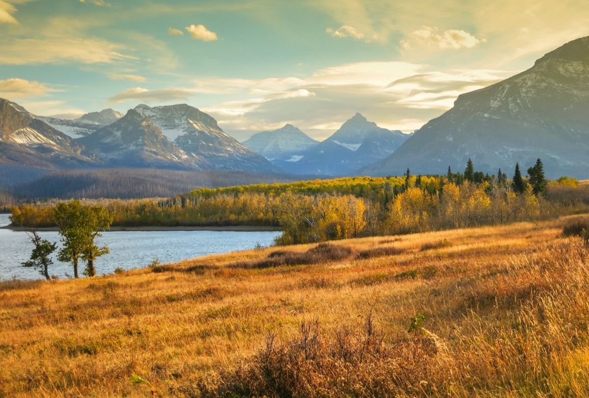 Montana landscape