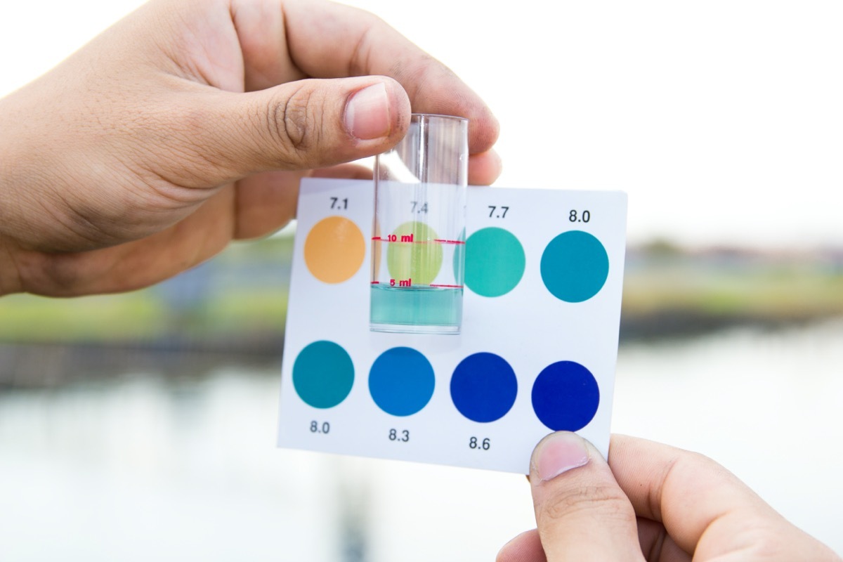 Worker use hands holding test tube with pH indicator comparing color to scale from water in shrimp pond