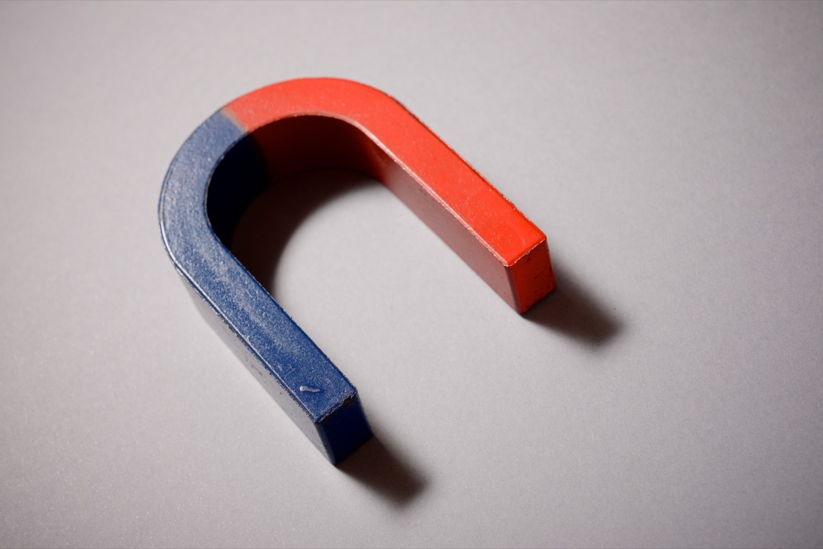 red and blue horseshoe magnet