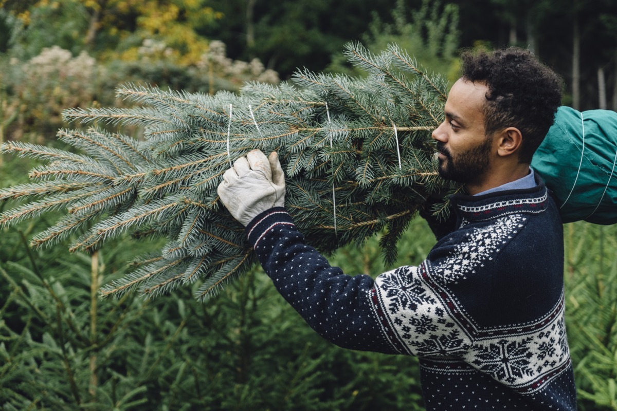 man buying a christmas tree and carrying it