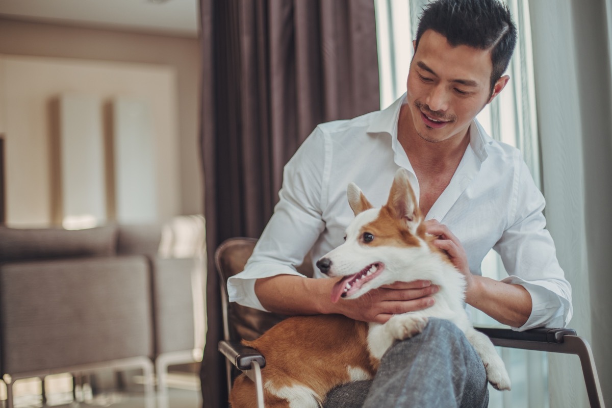 one man and his pet dog, sitting on a chair together at home.