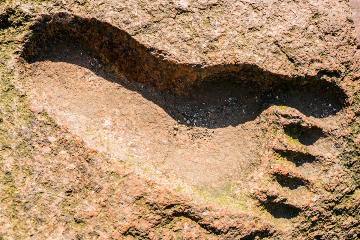 big foot or yeti footprint